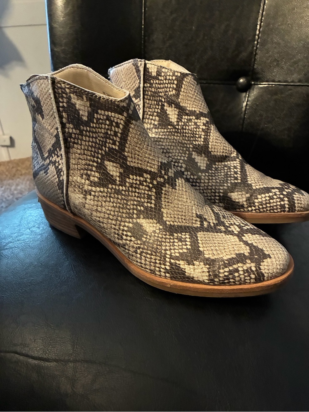 Dolce Vita Snake-Print Ankle Boots - Taupe/Black